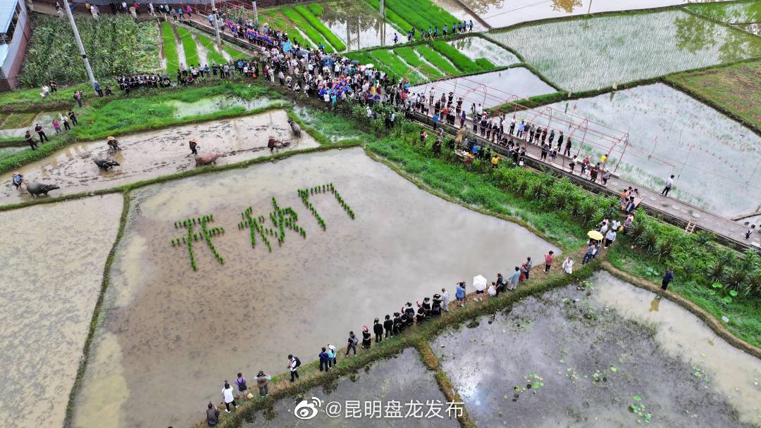 昆明盘龙发布