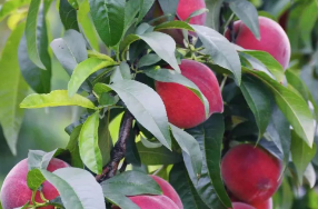 晋宁诗意的栖居地