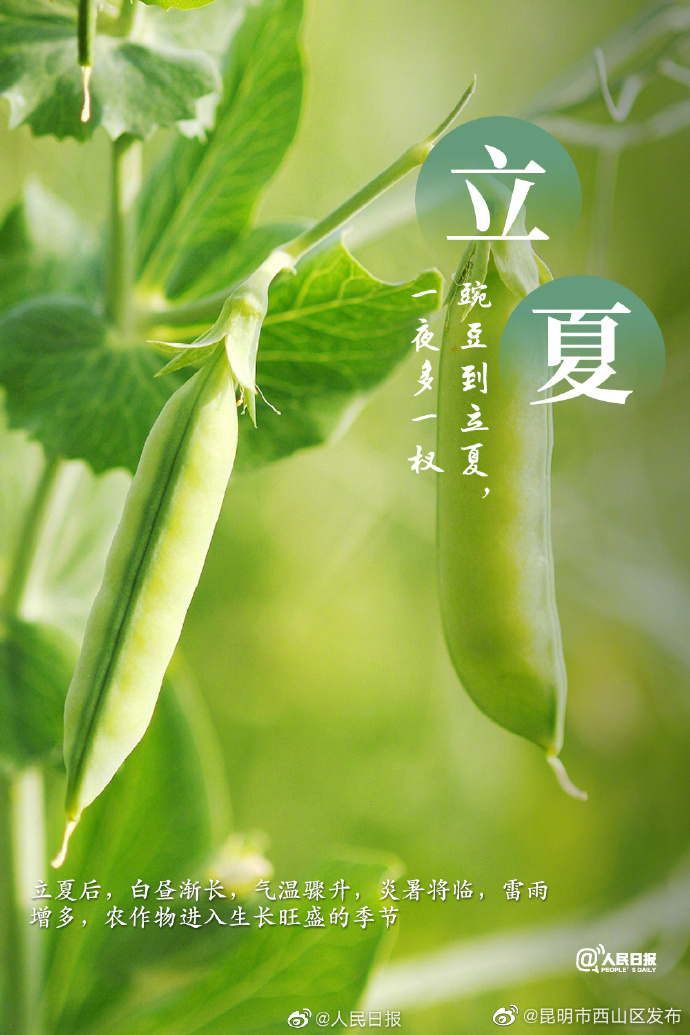 昆明市西山区发布
