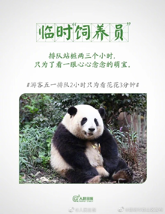 昆明市西山区发布