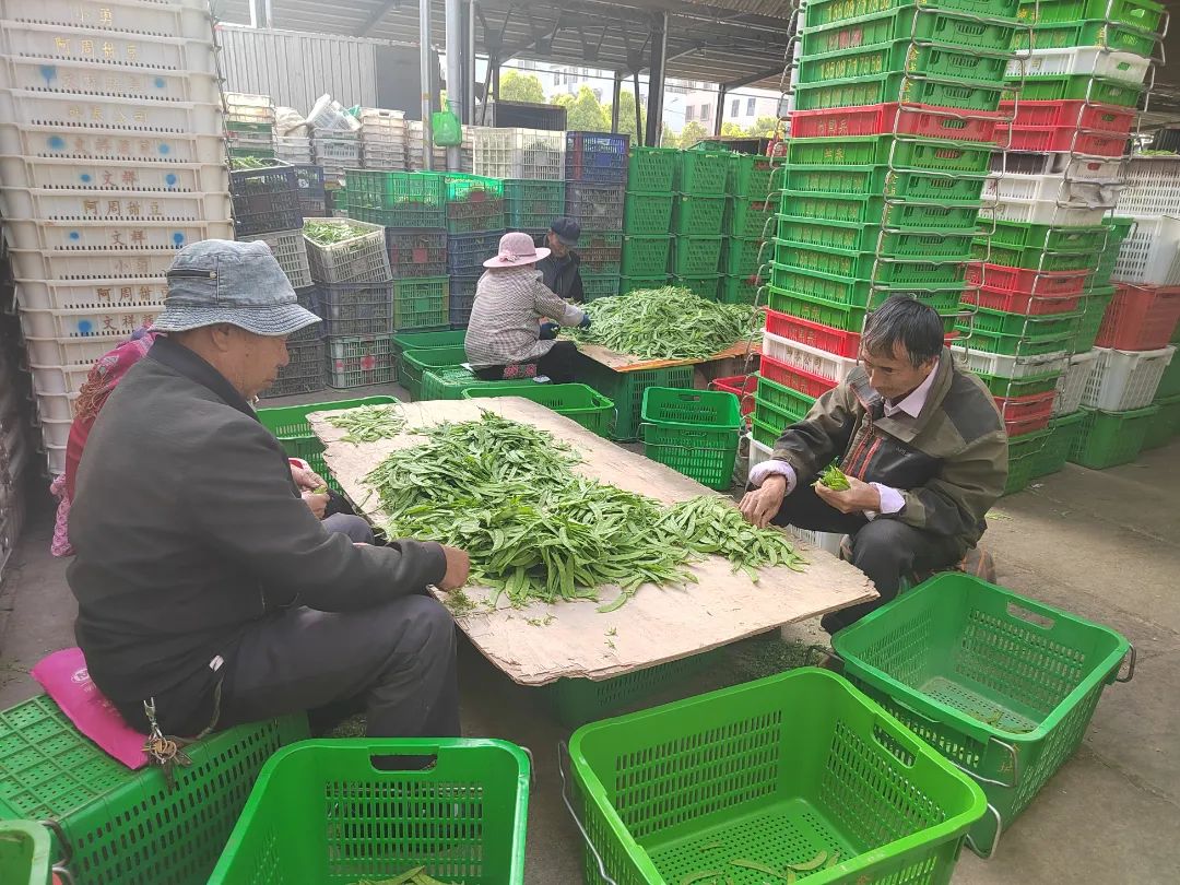 晋宁诗意的栖居地