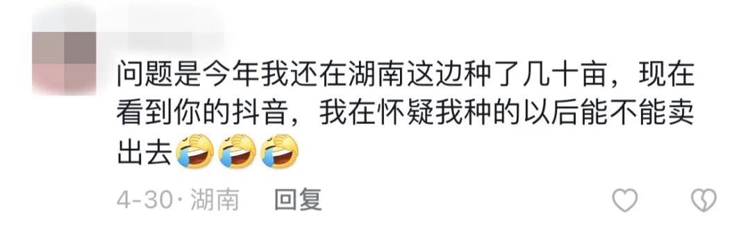 掌上春城