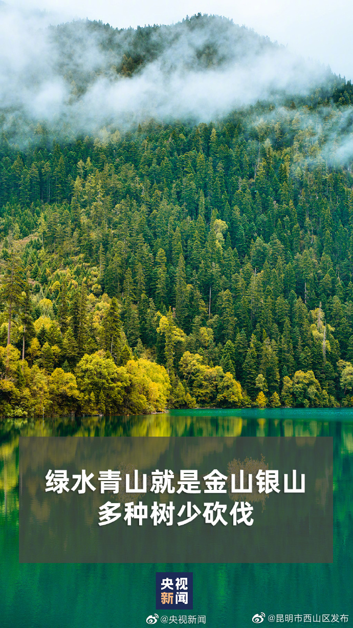 昆明市西山区发布