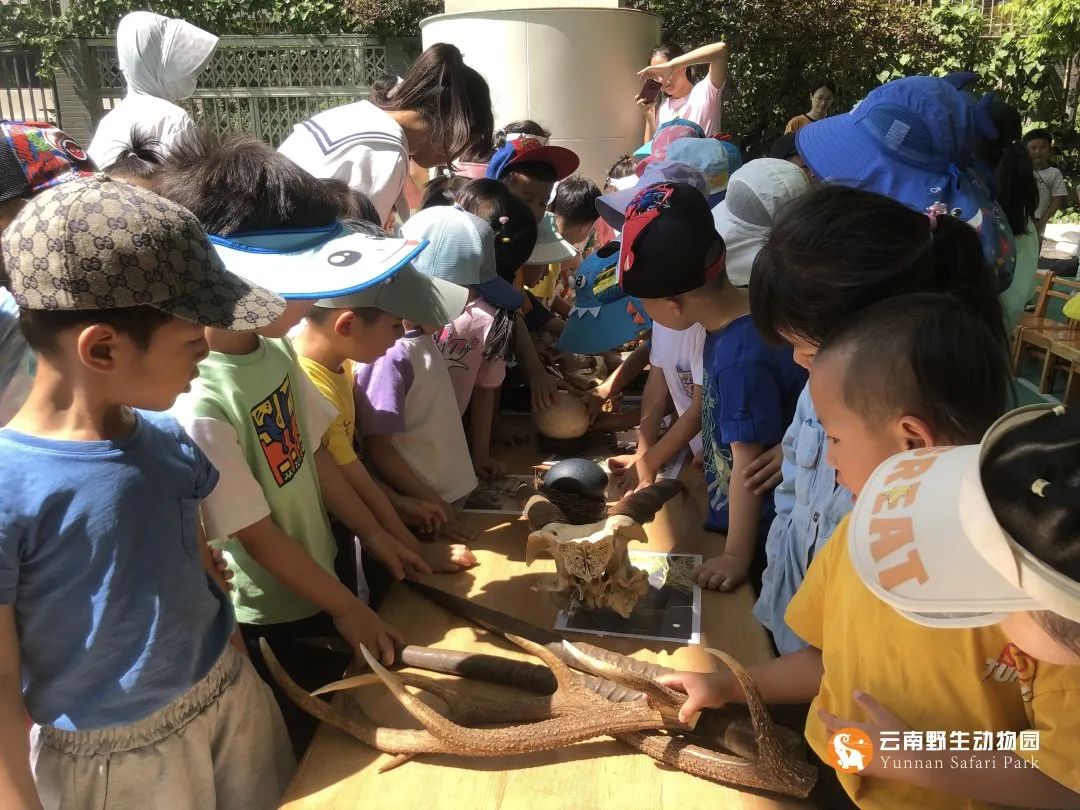 云南野生动物园