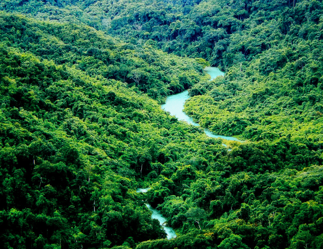 云南省文化和旅游厅