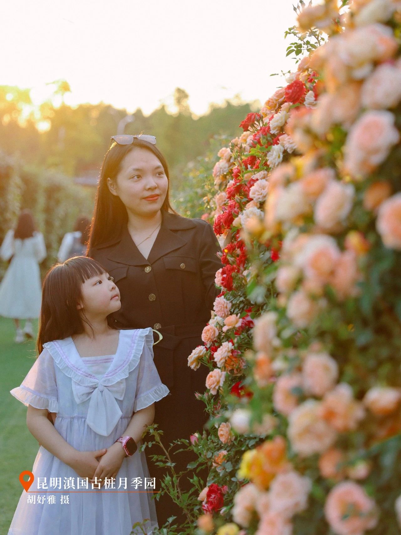 云南省文化和旅游厅