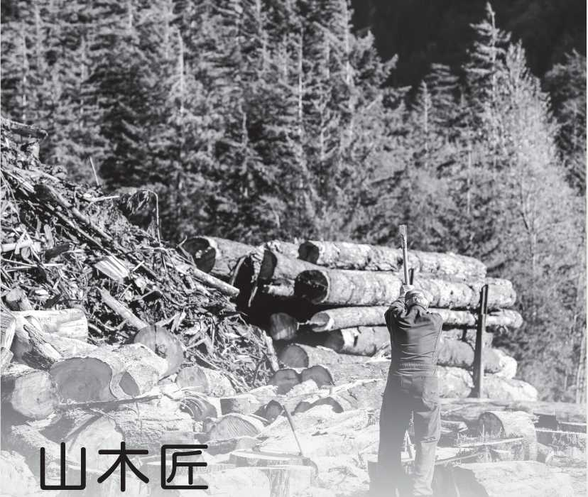 盘龙统战