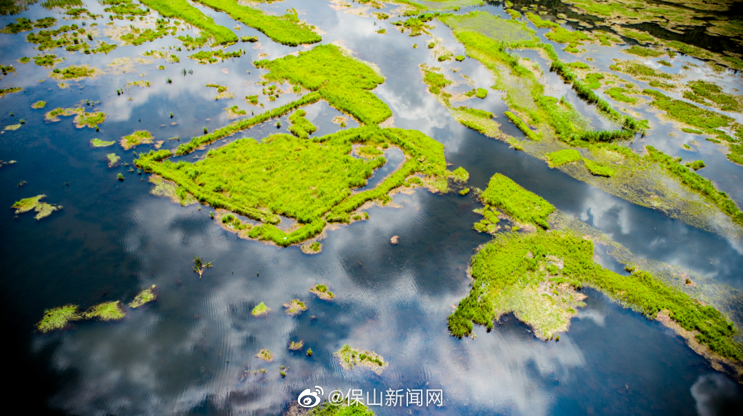 保山新闻网