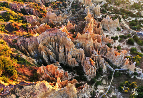 云南省文化和旅游厅