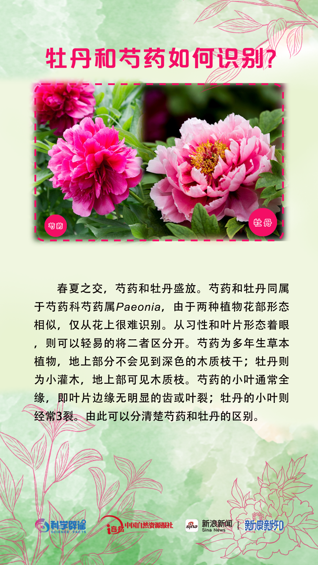 美丽云南微科普