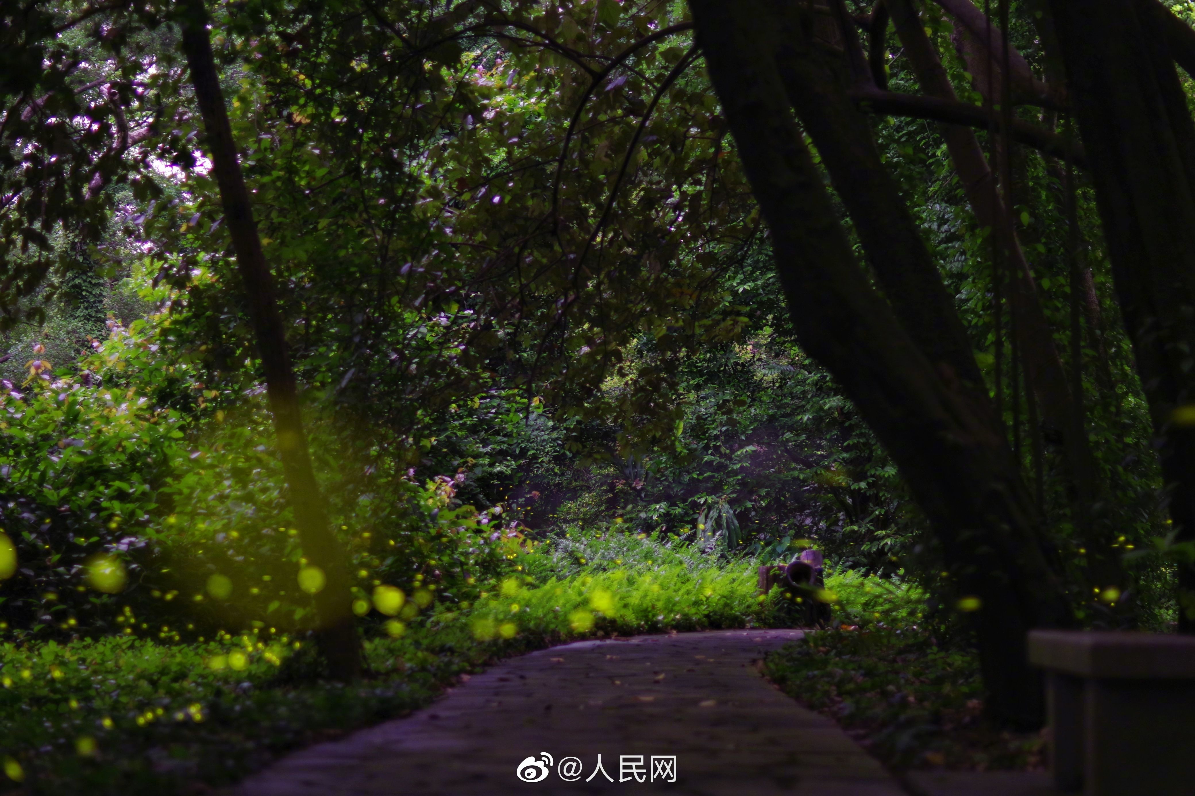 人民网