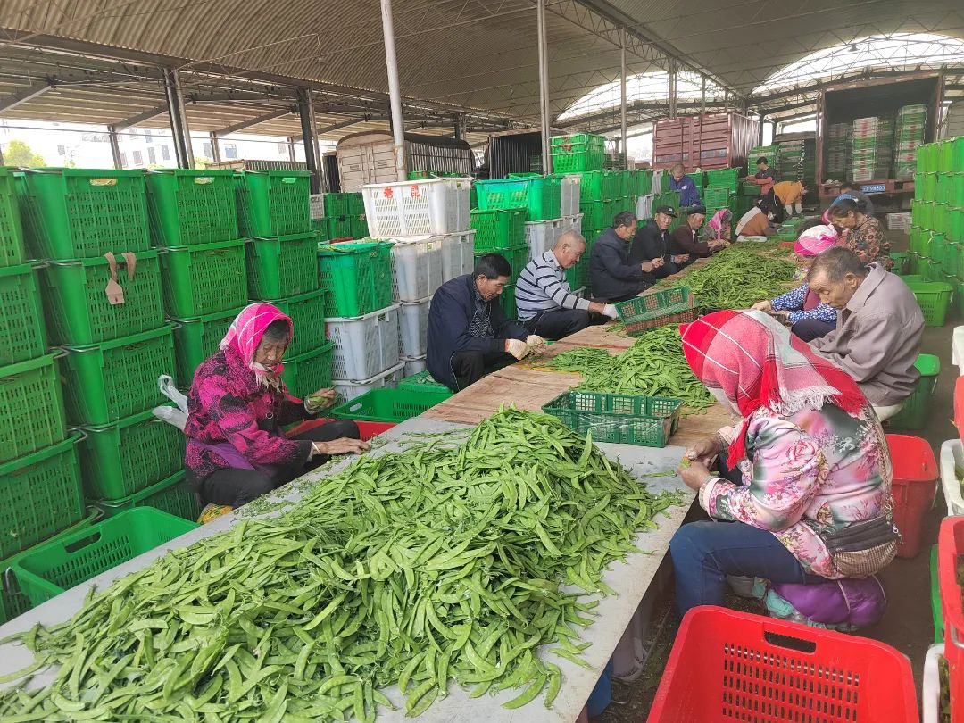 晋宁诗意的栖居地