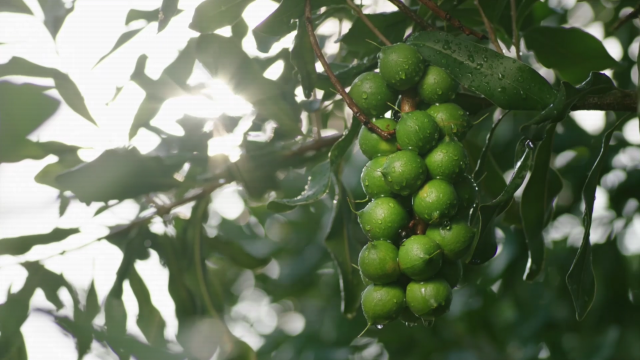 云南省文化和旅游厅
