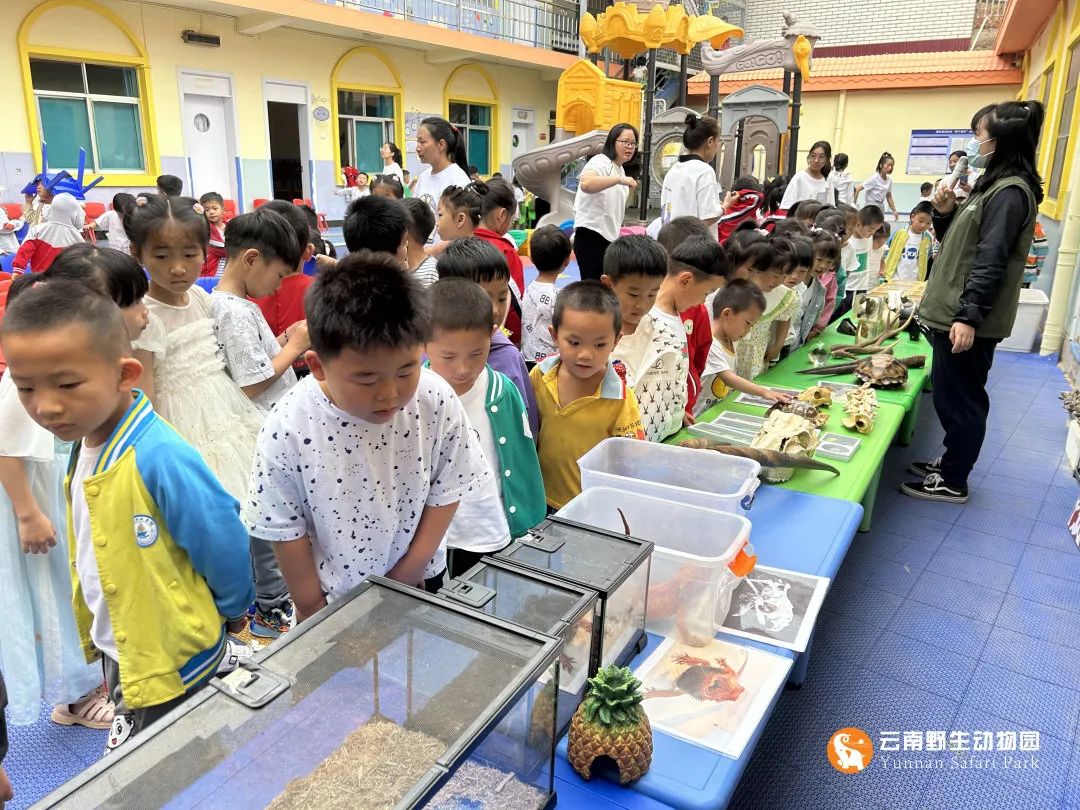 云南野生动物园