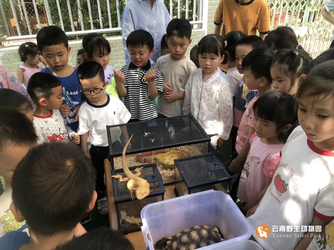 云南野生动物园