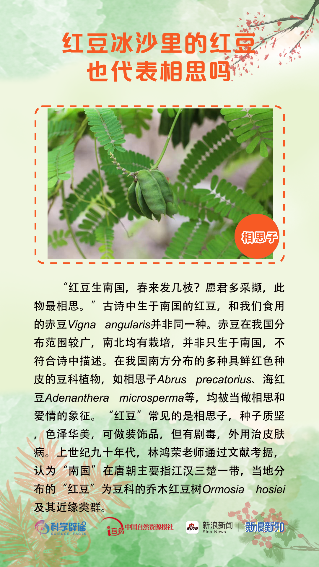 美丽云南微科普