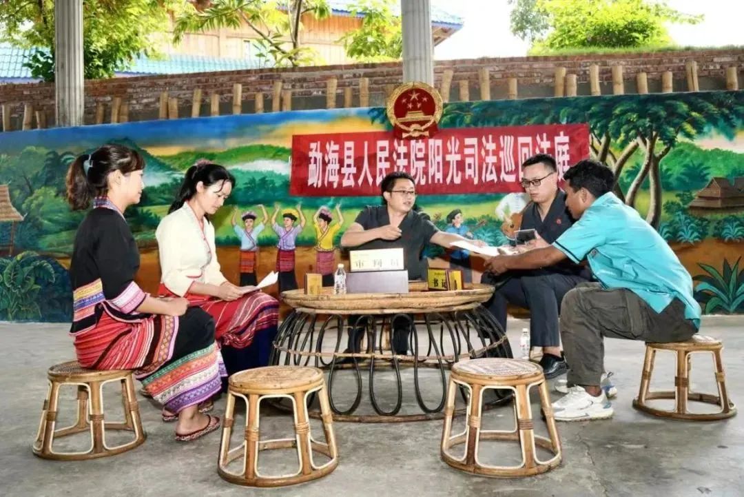 云南政法