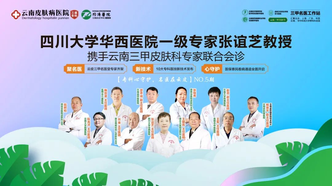 春城晚报