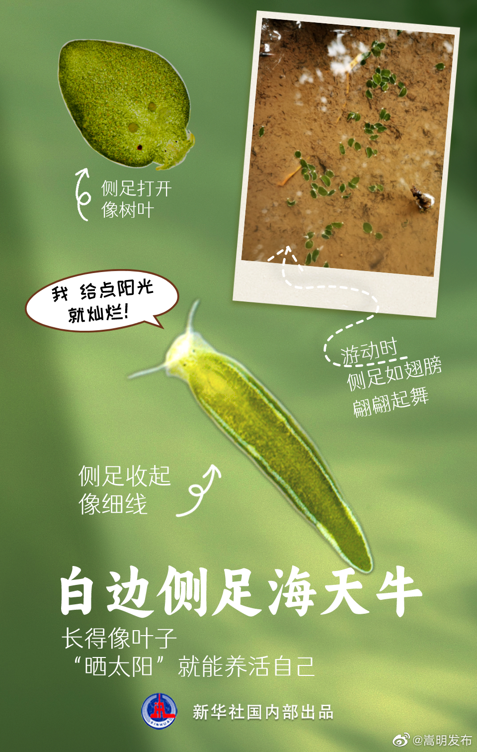嵩明发布