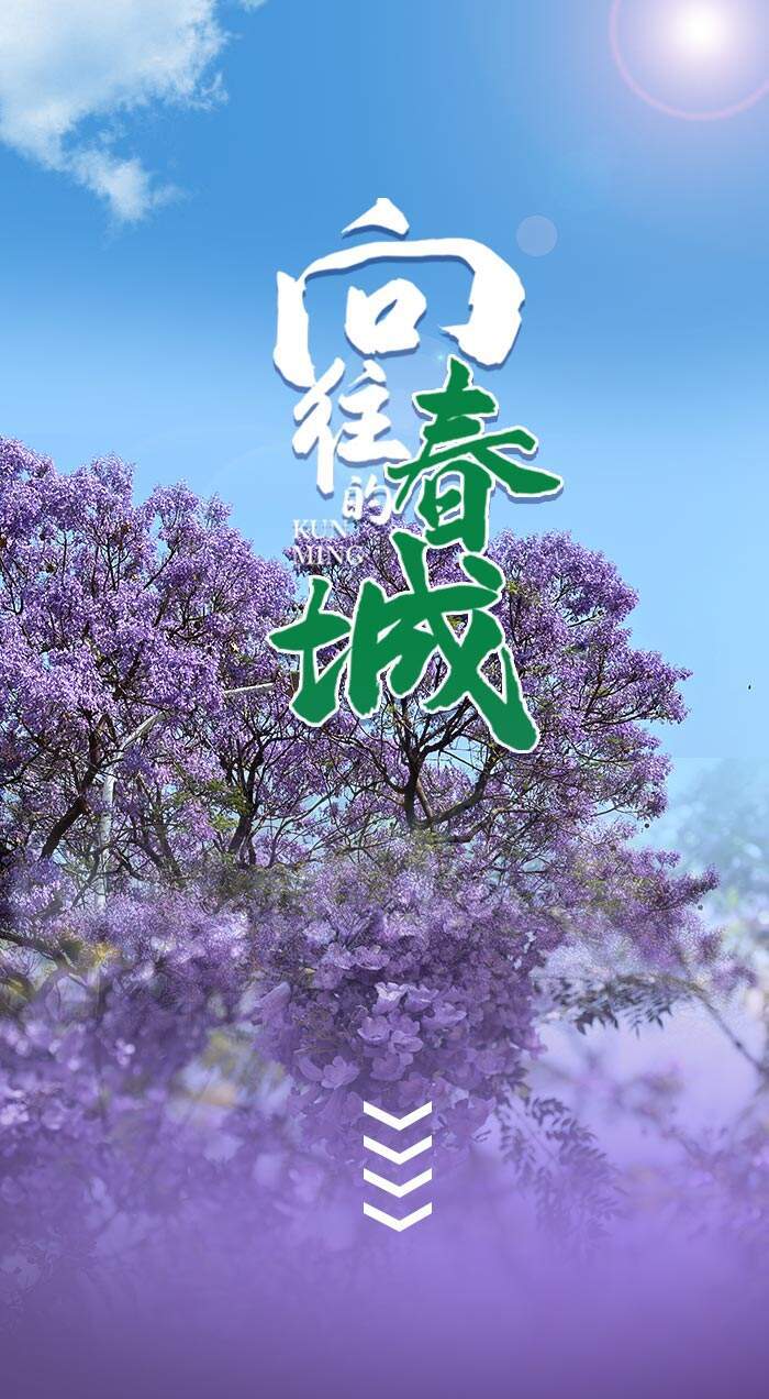 云南省文化和旅游厅