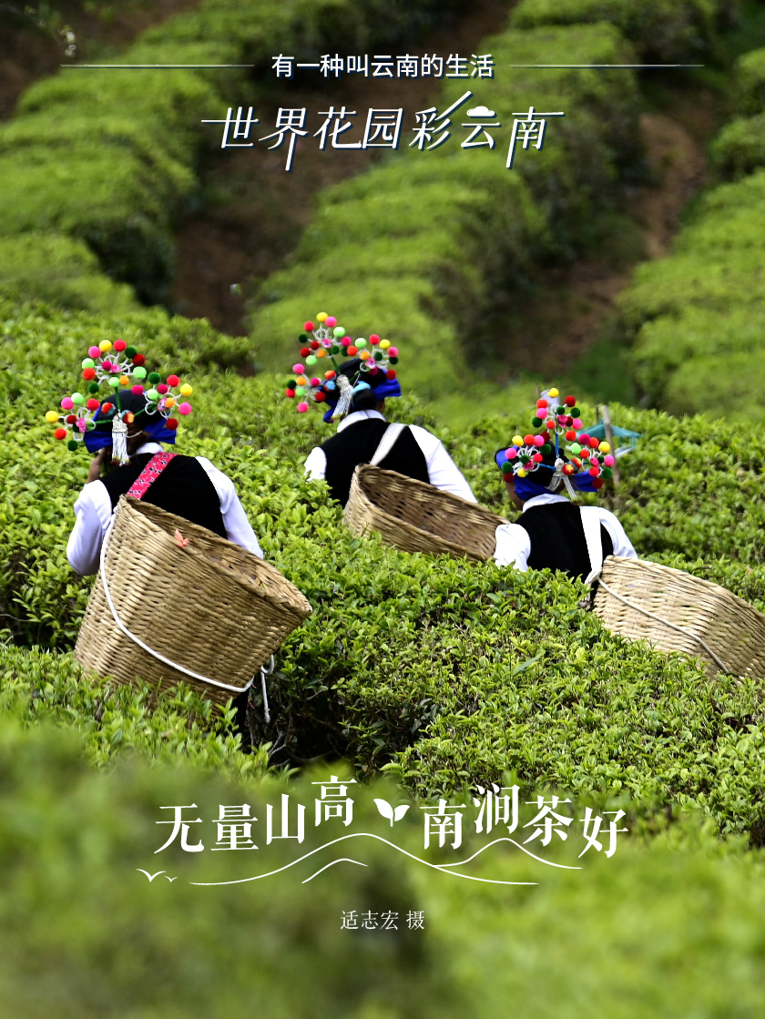 云南省文化和旅游厅