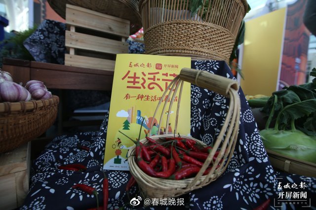 春城晚报