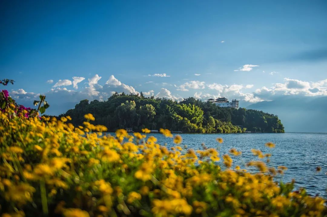 云南省文化和旅游厅