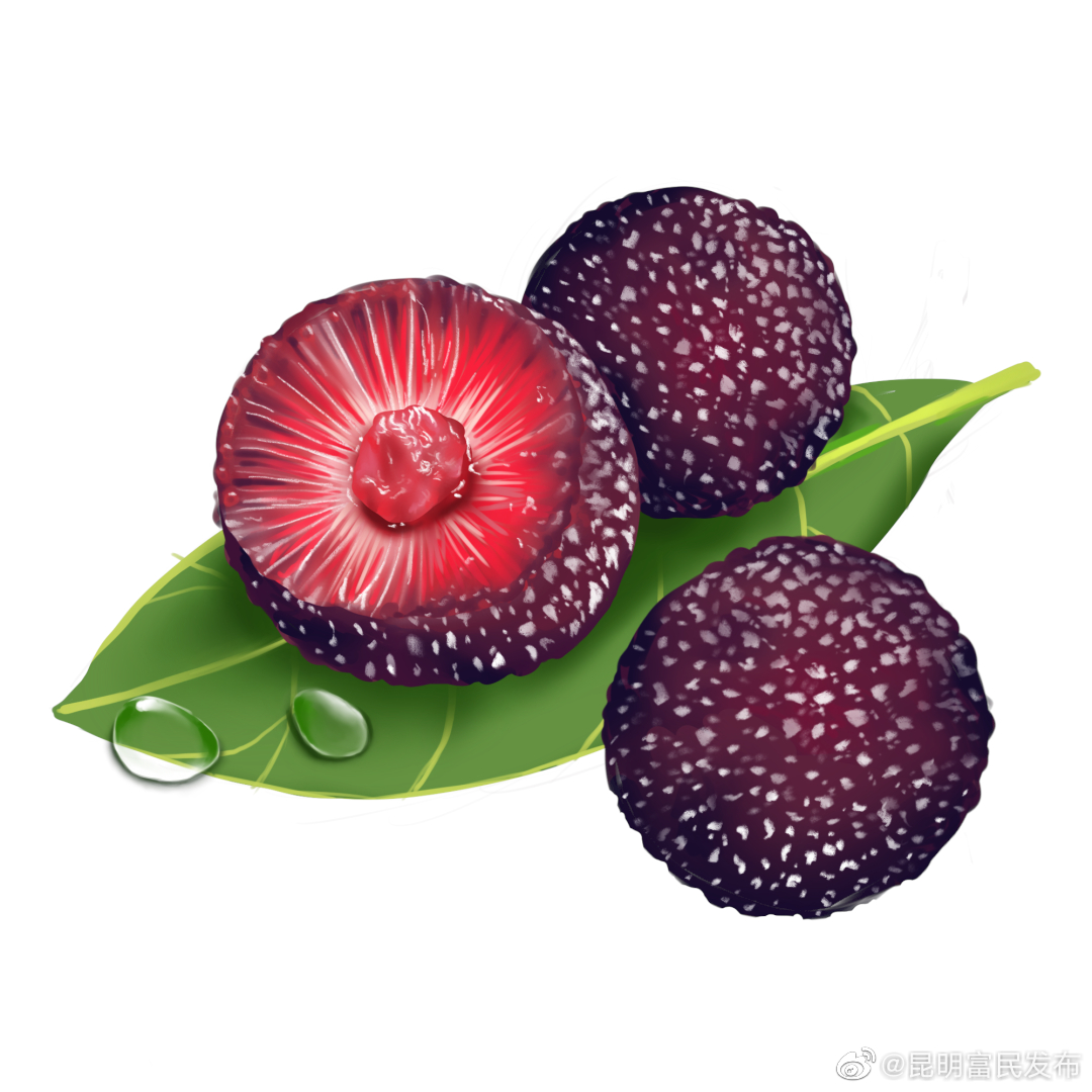 2023中国·富民杨梅旅游文化节暨“品出富民” 促消费活动（赤鹫分会场）活动火热进行中