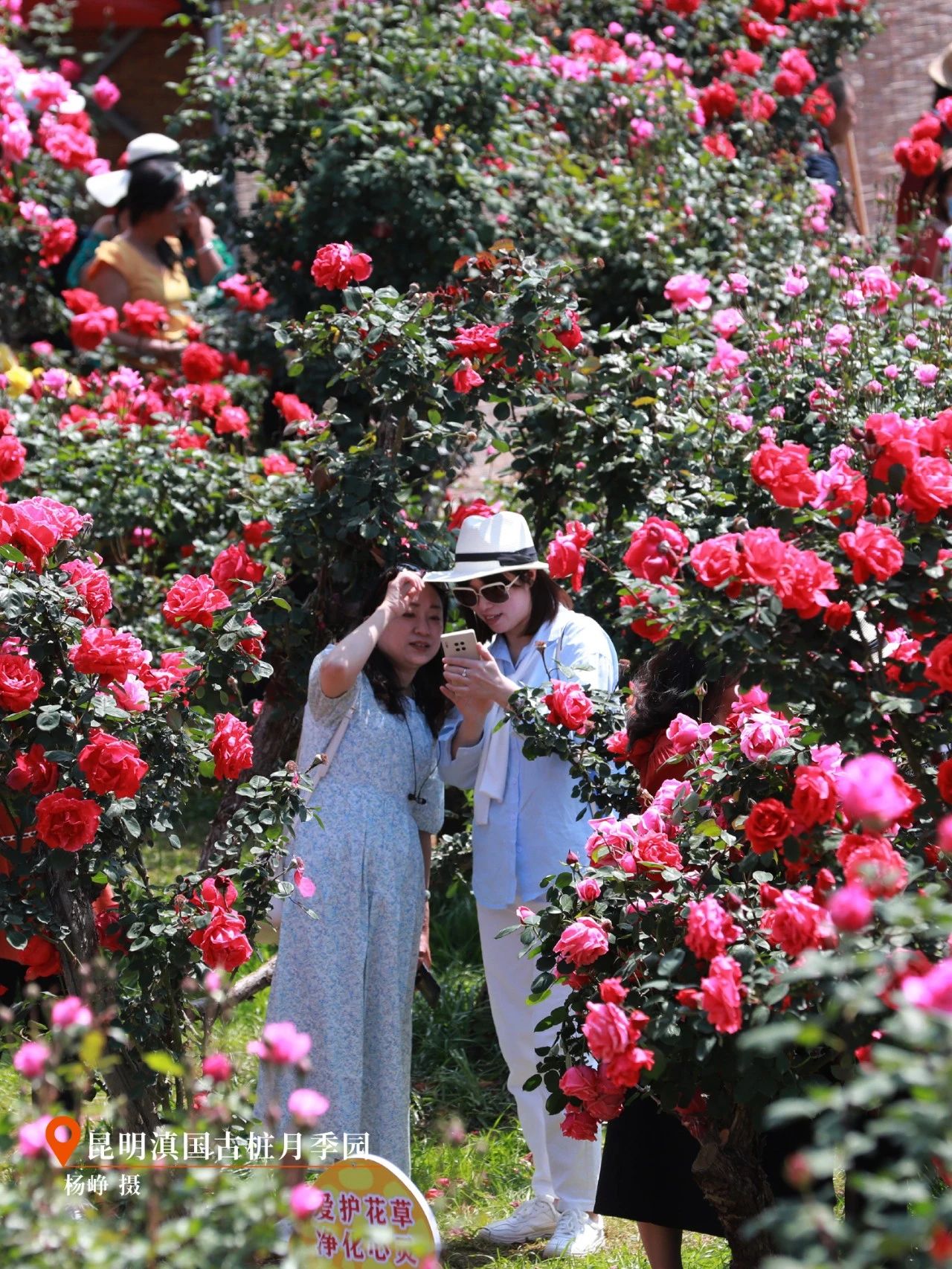 云南省文化和旅游厅