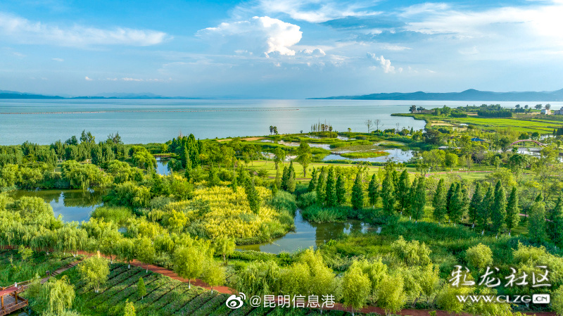 昆明信息港微博