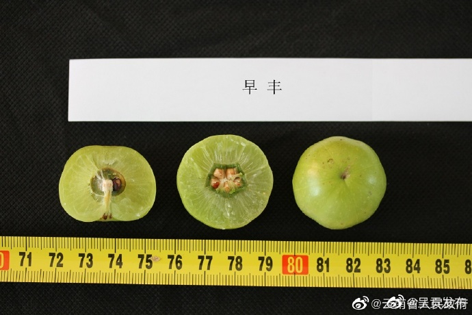 呈贡发布