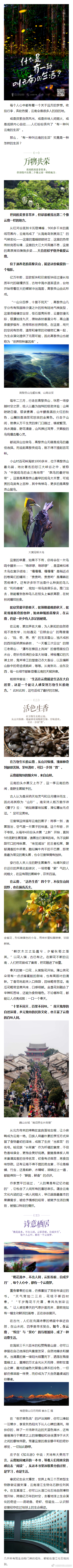 昆明市西山区发布