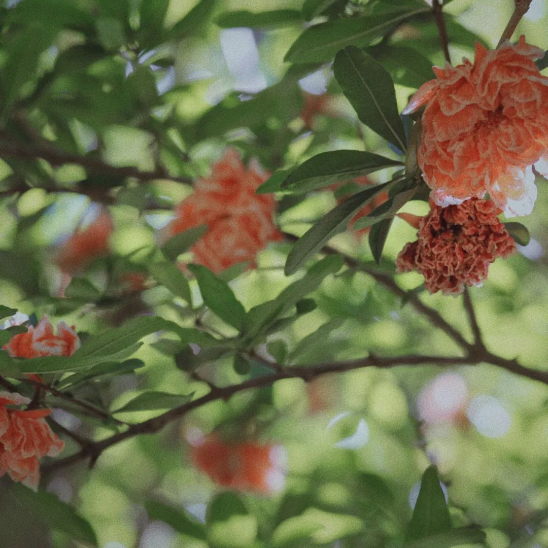 昆明市金殿名胜区