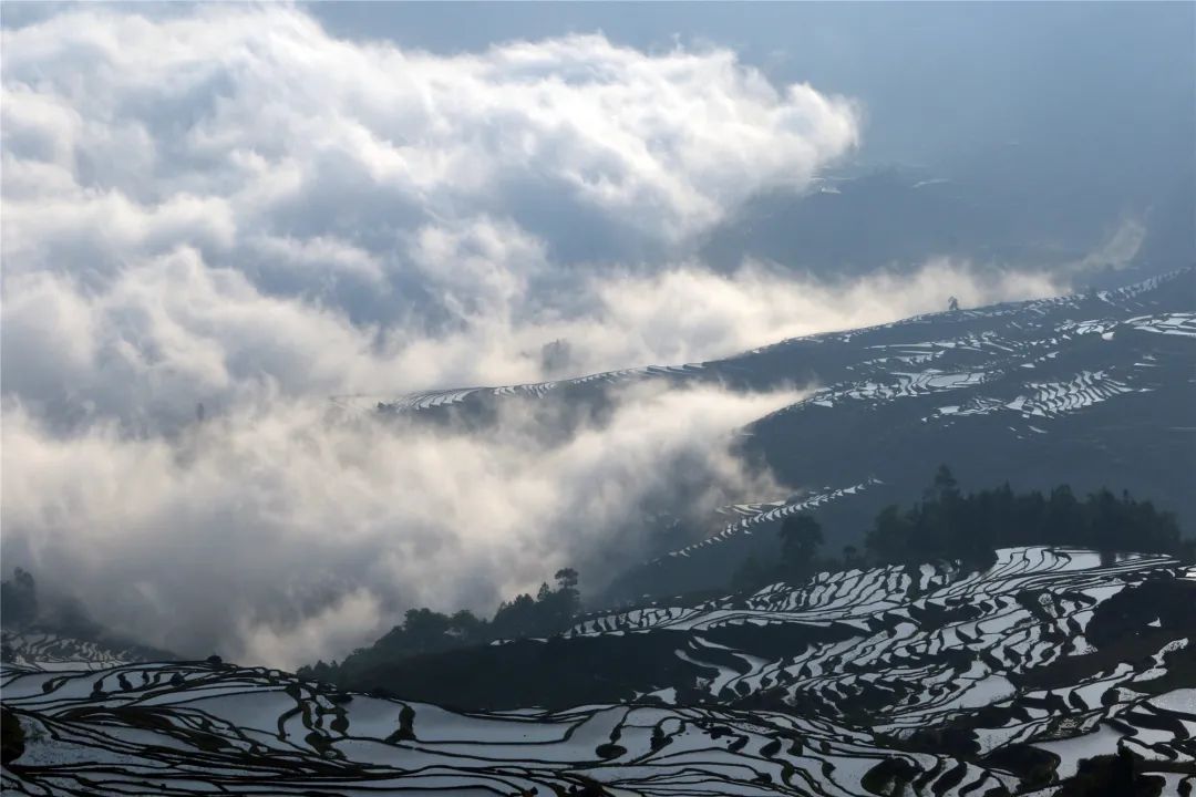 云南省文化和旅游厅