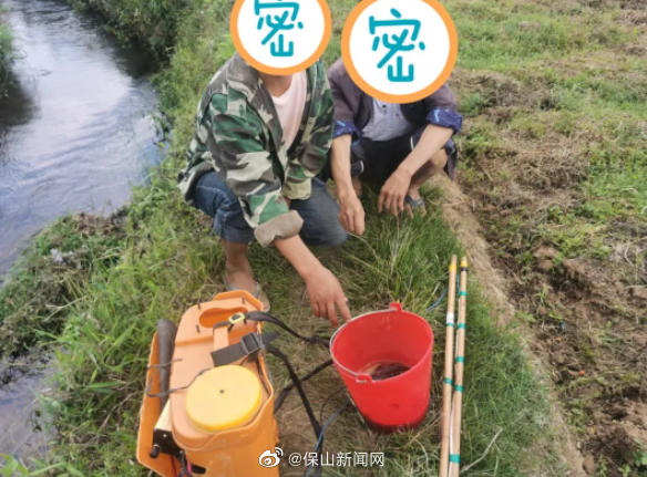 保山新闻网