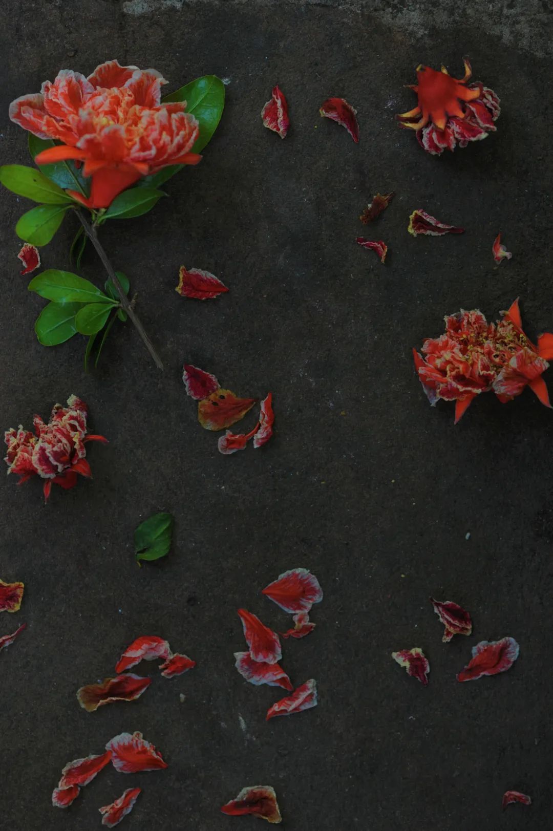 昆明市金殿名胜区