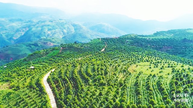 云南省文化和旅游厅