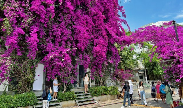 云南省文化和旅游厅