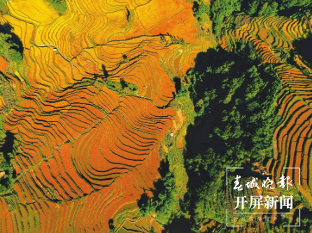 云南省文化和旅游厅