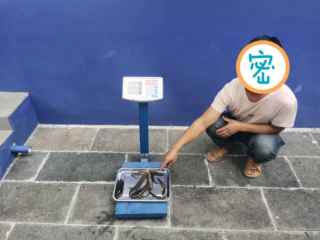 保山新闻网