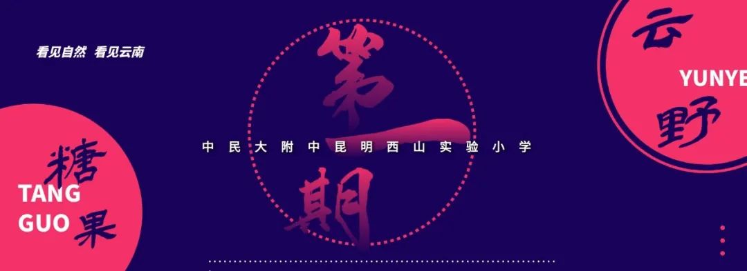 云南野生动物园