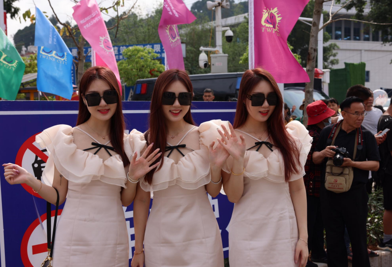 云南省文化和旅游厅