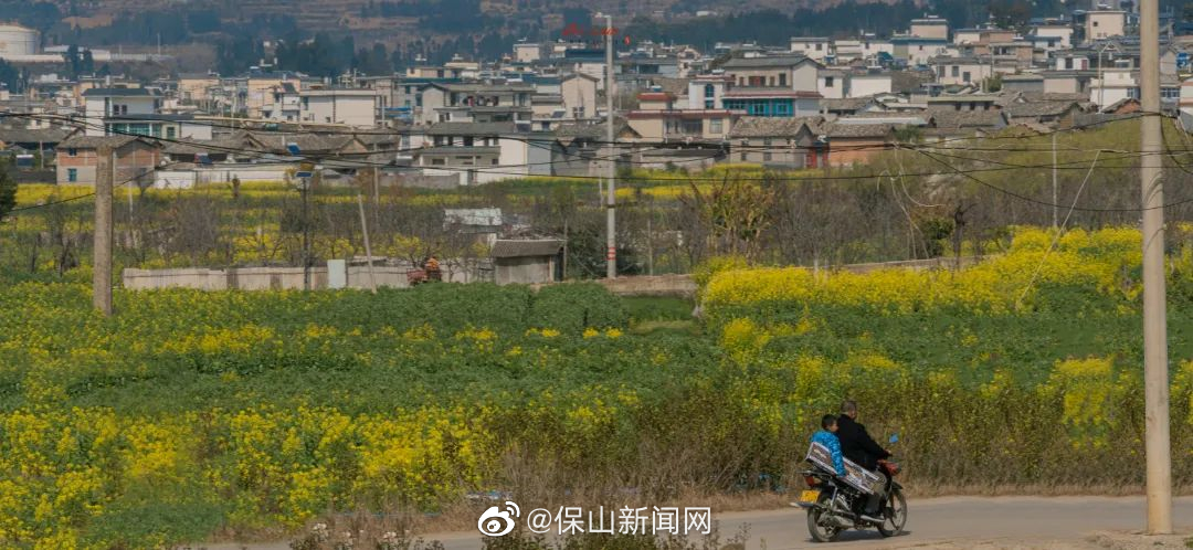 保山新闻网