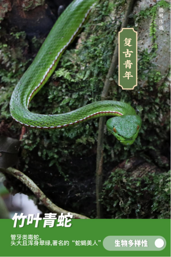 德宏团结报