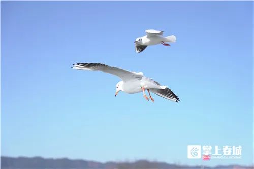 昆明文旅