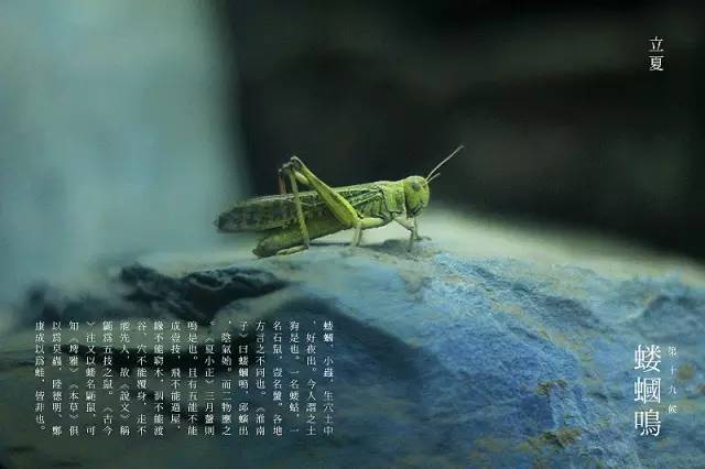 昆明公共文化云
