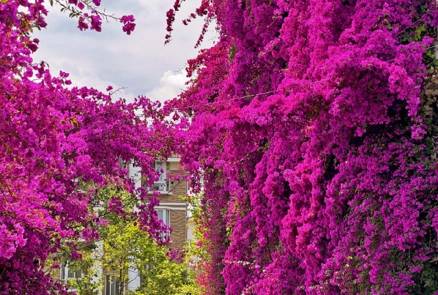 云南省文化和旅游厅