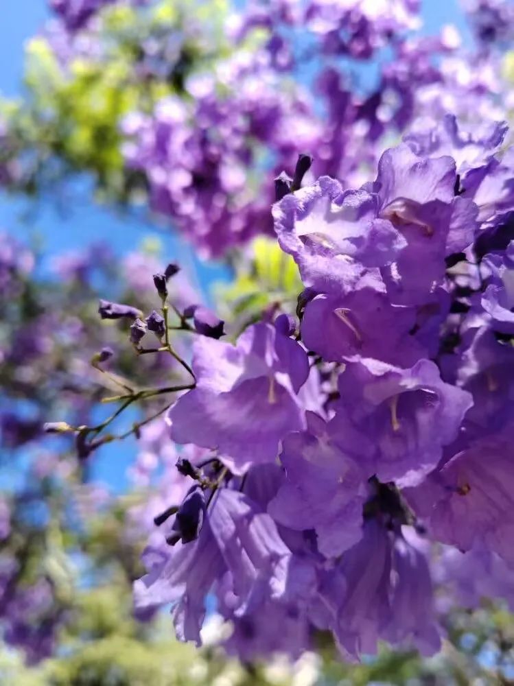 晋宁诗意的栖居地