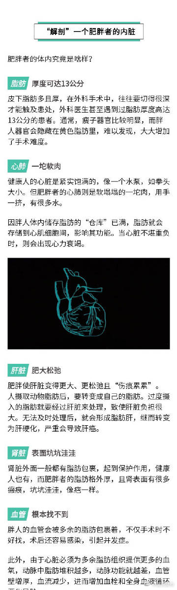 呈贡发布