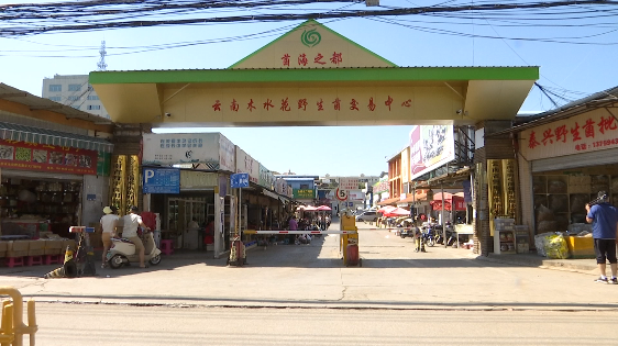 春城晚报